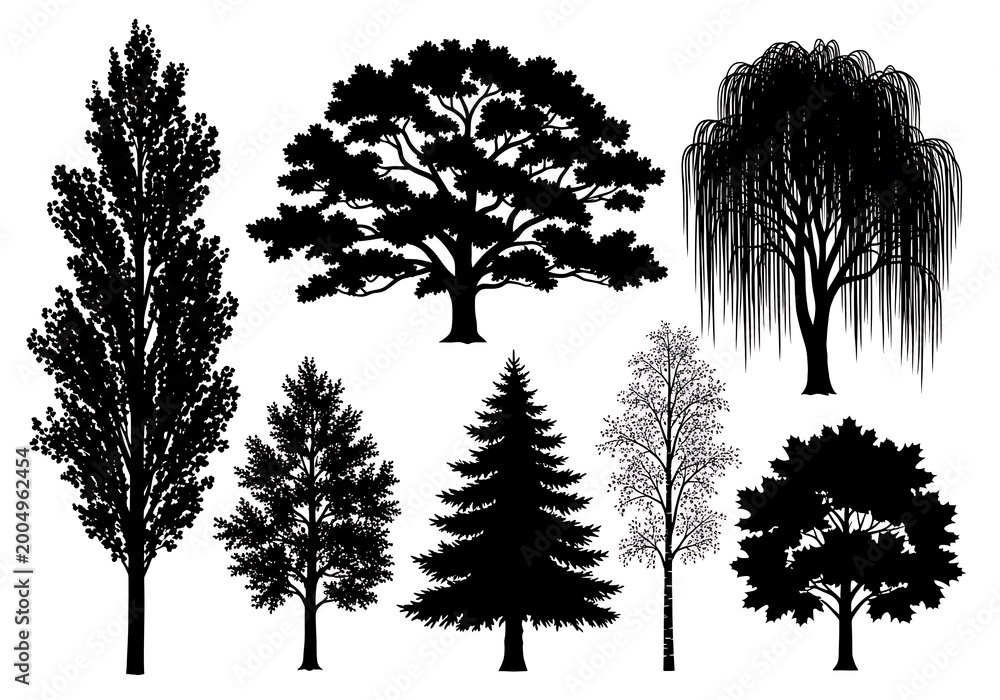Obraz premium Tree Silhouettes Isolated on White Background