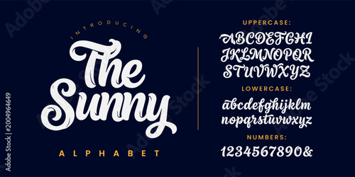 Photos The Sunny Alphabet Retro Bold Script Font for Summer Branding and Creative Logo