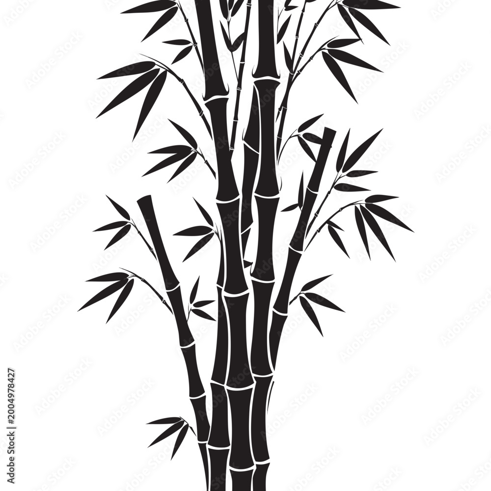 Fototapeta premium bamboo vector illustration