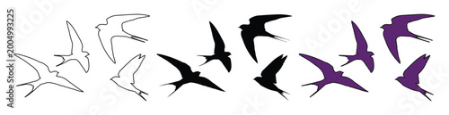 Photos Flying swallow bird silhouettes, set of 12 vector icons in black, purple, and ou