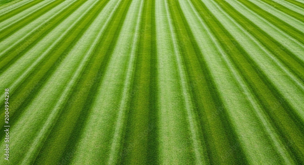 Obraz premium Abstract green stripes of mowed grass from a low angle perspective
