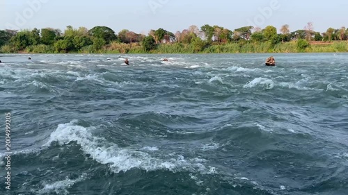 powerful river rapids with white water ripples flowing through lush green forest landscape. Scenic natural stream movement, fresh water current, and beautiful outdoor environment in summer