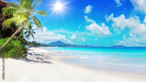 Sea beach landscape, paradise tropical island, beautiful exotic nature, turquoise ocean, crystal clear water, green coconut palm tree leaves, white sand, blue sunny sky, summer holiday vacation travel