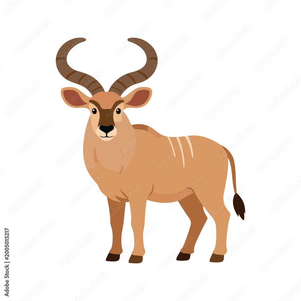 Fototapeta premium Illustration of a light brown kudu standing and looking forward on a white background