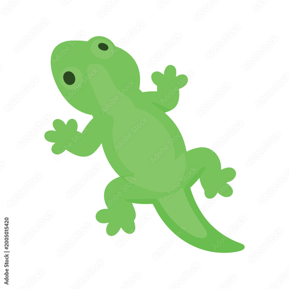 Fototapeta premium Cute light green lizard illustrated on a white background looking upwards