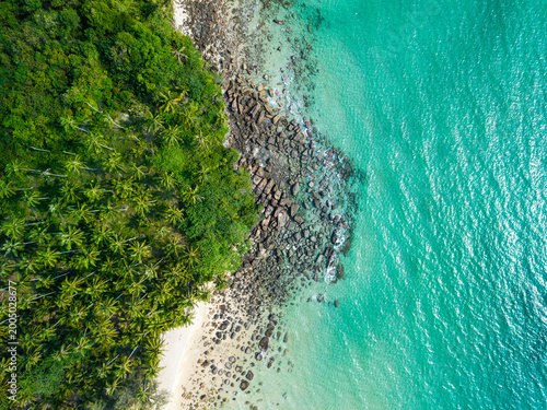 Bird's eye view of a rocky tropical shore with dense green forest and clear sea water