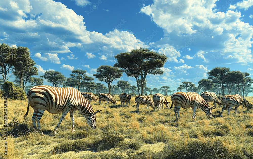 Fototapeta premium A herd of quaggas, a type of extinct zebra-like equid, graze peacefully in the golden, sun-dappled savanna under a dramatic, cloud-filled sky