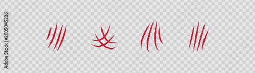 Photography Wild Animal Red Claw Scratch Marks Isolated on transparent background