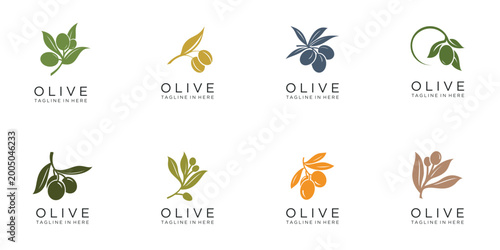 olive oil logo collection, nature beauty, graphic design vector template.