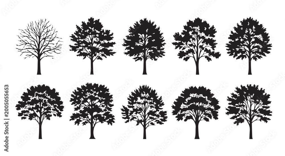 Fototapeta premium Collection of black silhouettes of various trees with black and white design element white background silhouette branches deciduous evergreen
