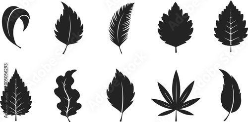 Billede på lærred Set of black leaf silhouettes, various tree and plant leaf shapes