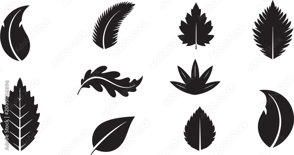 Fototapeta premium Set of various black leaf silhouettes isolated on white background
