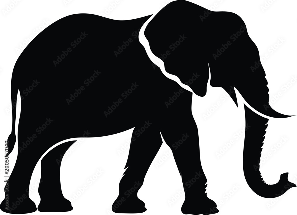 Fototapeta premium Black silhouette elephant walking in nature