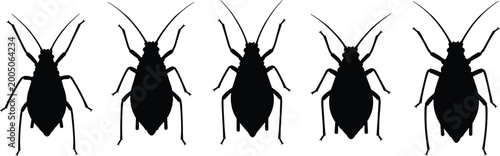 Cuadro en lienzo Aphid silhouette collection set