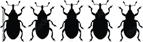 Schilderij op canvas Weevil silhouette set collection