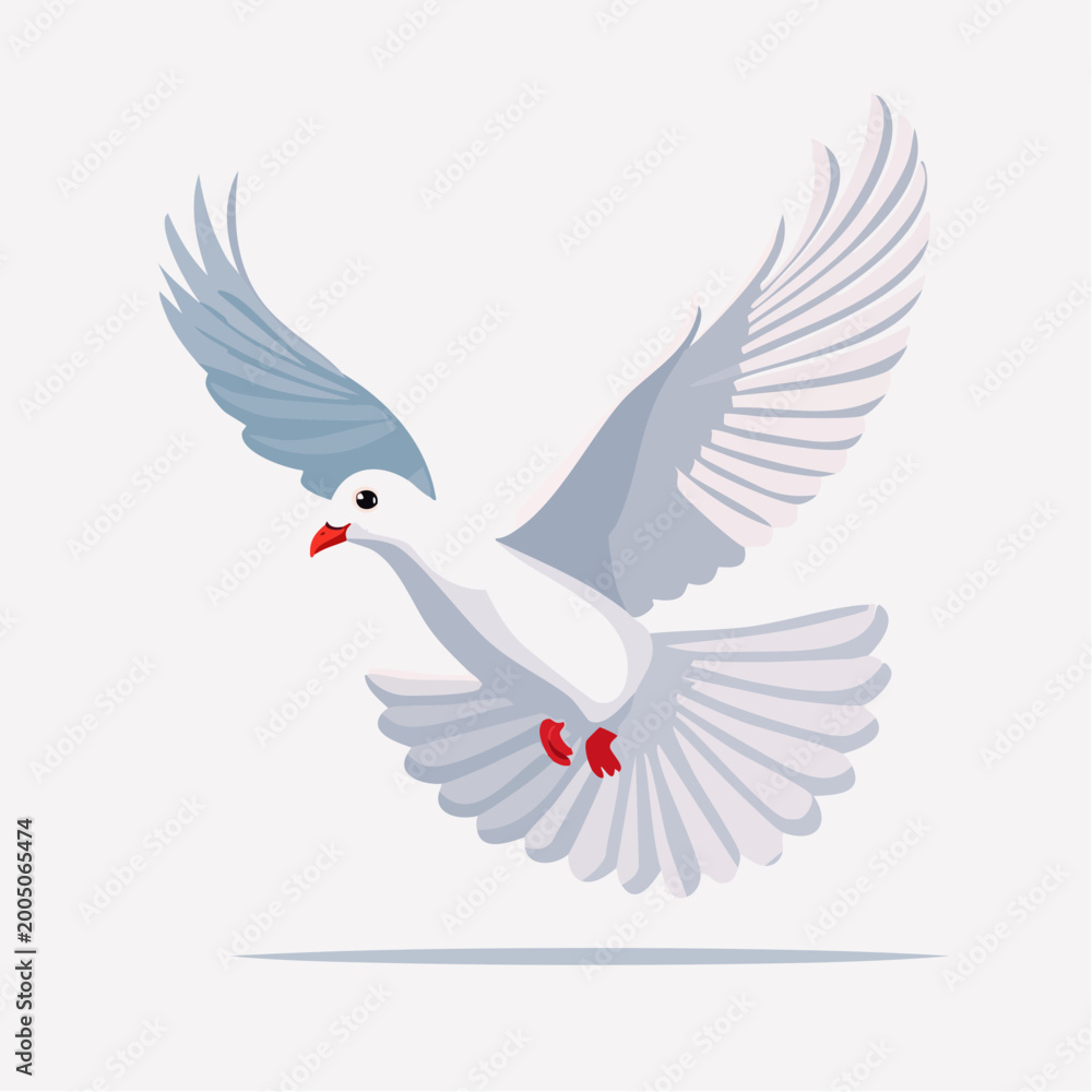 Fototapeta premium White Dove in Flight