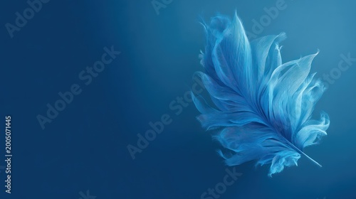 Ethereal blue feather floating gently against a darker, gradient blue background