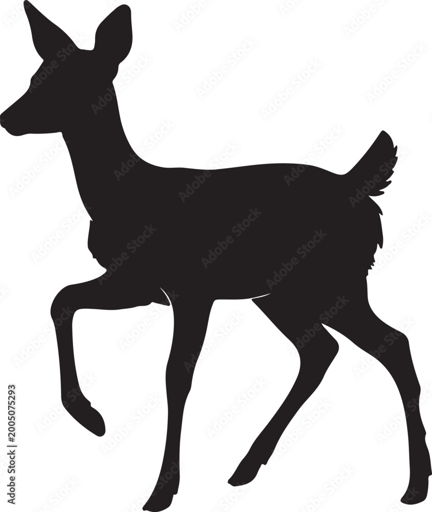 Fototapeta premium Fawn vector