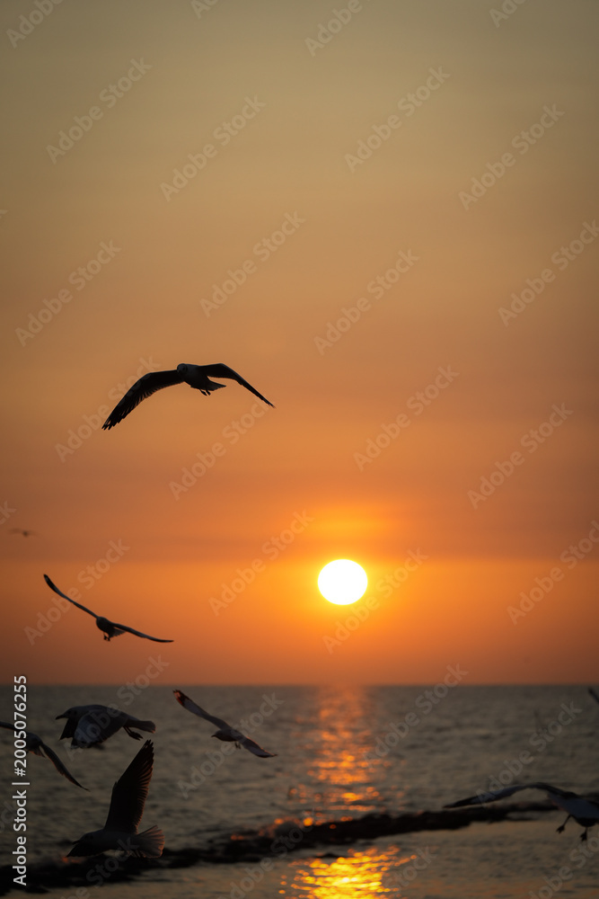 Naklejka premium Birds Flying Over Tranquil Sea at Sunset with Golden Sky