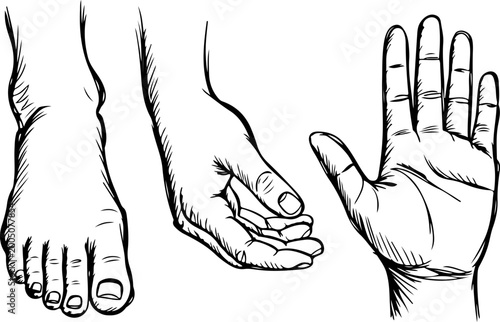 Canvastavla Minimalist Line Art of Human Hand and Foot Set