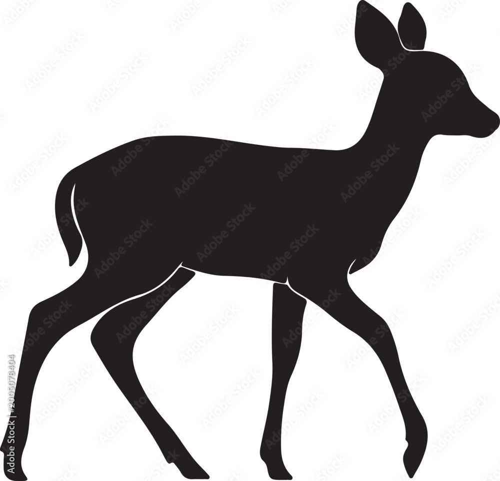 Fototapeta premium Fawn vector