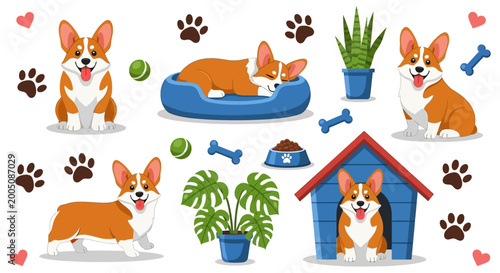 Cuadro en lienzo Corgi dog icons, cute cartoon corgis, dog house, pet accessories, vector illustr