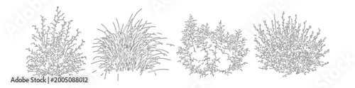 Foto Minimalist line art bushes and shrubs set, 4 botanical garden plant vector illus