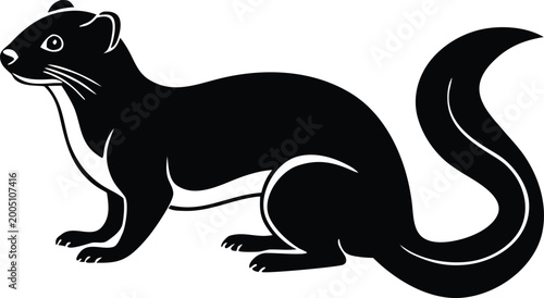 Photos Weasel Ferret Stoat Animal Graphic