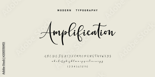 Hand drawn vector alphabet. Modern monoline signature script font. Elegant Signature Font. Best Alphabet Beautiful Calligraphy Signature Font