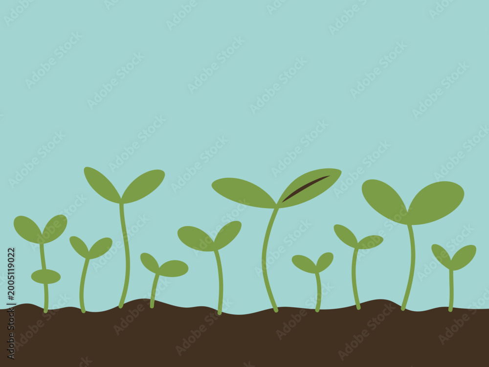 Fototapeta premium Simple of green seedlings emerging from dark brown soil against a light blue sky