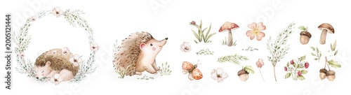 Foto Watercolor cute sleeping baby hedgehog animal