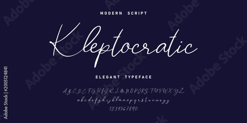 signature Font Calligraphy Logotype Script Brush Font Type Font lettering handwritten