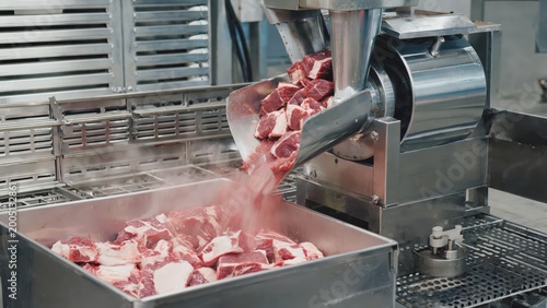 Industrial food processing of fresh raw beef chunks falling into a stainless steel metal tray during commercial butchering operations