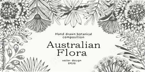 Australian flora botanical illustration hand drawn black and white vector
