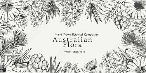 Australian flora botanical illustration black and white line art pattern