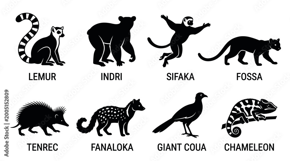 Obraz premium black and white vector silhouette set of traditional madagascar animal.