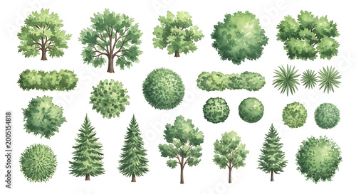 Green Vector Tree Set Top View for Landscape Architecture Plan Schematic Layout Eco Environment Concept Flat Illustration Graphics Natural Foliage Garden Design Map Elements Collection Organic