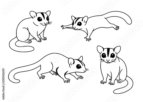 Fotografie Sugar glider icon set in outline style, for animal coloring designs