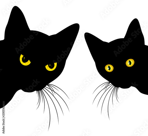 The Predatory home black cats silhouettes.