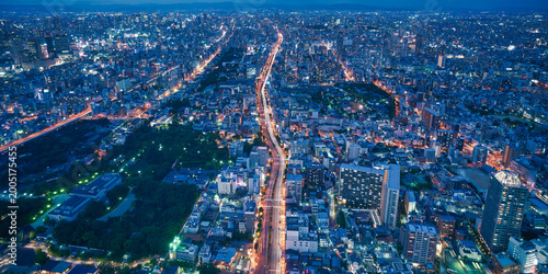 Osaka city skyline - asia modern business city, cityscape birds eye view at night, shot in Abeno harukas, Osaka, Japan.