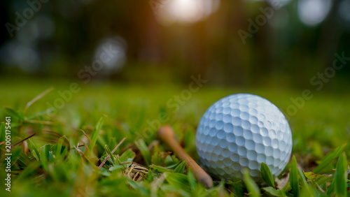 Golf ball on green grass in the evening golf course with sunshine background.