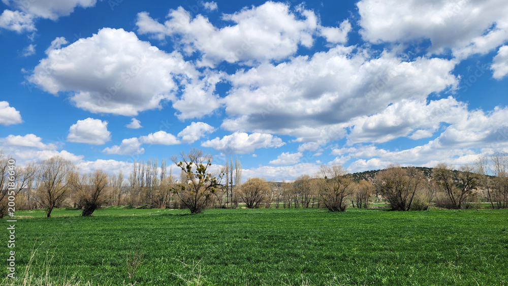 Naklejka premium A spring landscape of the Phrygian Valley near Kümbet, featuring lush green fields stretching beneath vast skies filled with white cumulus clouds, capturing the fresh and vibrant atmosphere