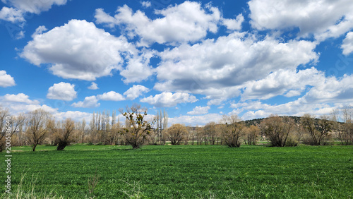 A spring landscape of the Phrygian Valley near Kümbet, featuring lush green fields stretching beneath vast skies filled with white cumulus clouds, capturing the fresh and vibrant atmosphere