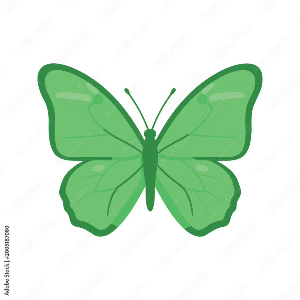 Fototapeta premium Illustration of a spring green butterfly with translucent wing details and long antennae