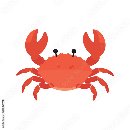 Illustration of a crab with large claws and small black eyes on a white background