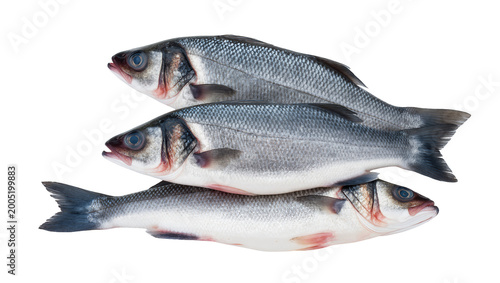 Raw silver fish stack three whole fish silvery scales, fresh seafood