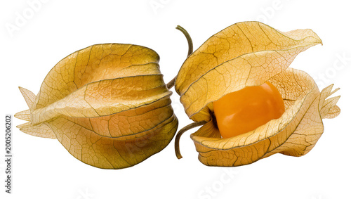Quadro su tela Ripe Cape Gooseberries with Orange Fruit and Papery Husks