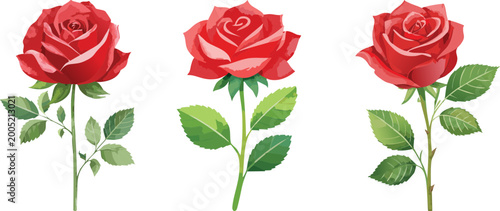 Three beautiful red roses with green leaves on white background