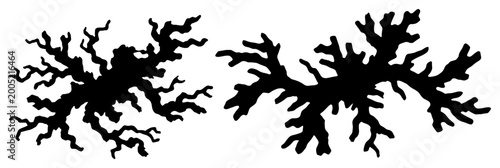 Valokuva Ink splash shapes with organic branching edges in monochrome style