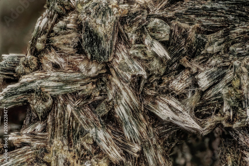 Macro byssolite (actinolite) fibrous acicular crystals on matrix from Eastern Alps, Austria, microscope, 5x, 7.2mm field, focus stacking